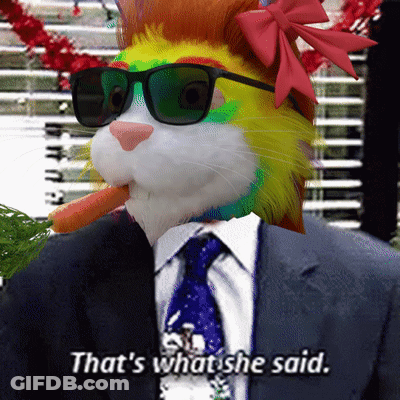 Cat In Sunglasses With Bow And Carrot Saying That's What She Said GIF