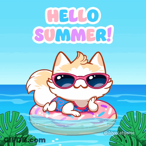 Cat In Sunglasses With Donut Float Hello Summer GIF