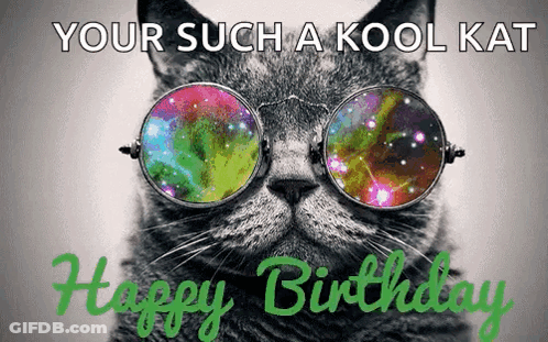 Cat In Sunglasses Your Such A Kool Kat Happy Birthday GIF