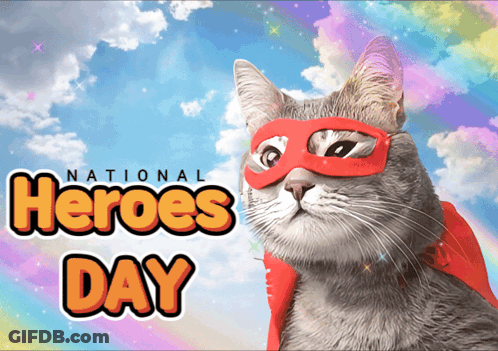 Cat In Superhero Cape And Mask GIF