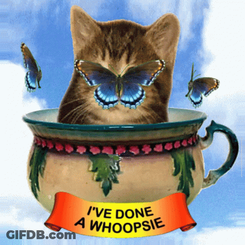 Cat In Teacup With Butterflies And Whoopsie Banner GIF