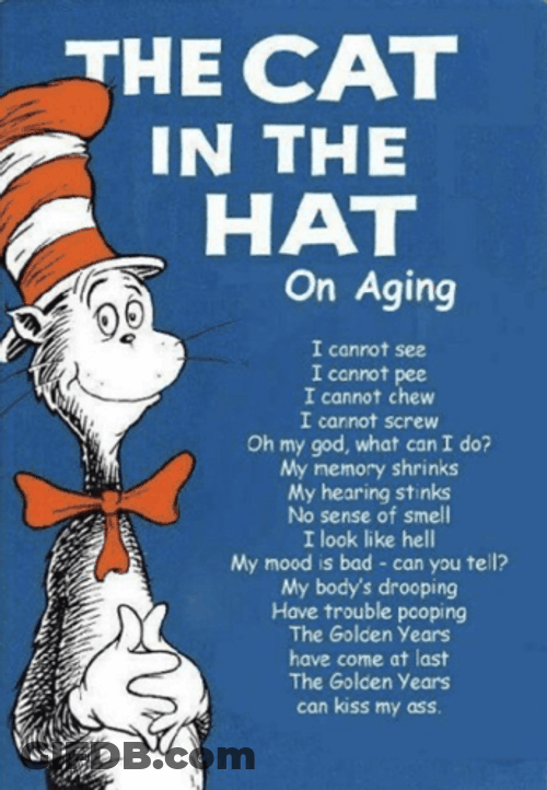 Cat In The Hat On Aging GIF