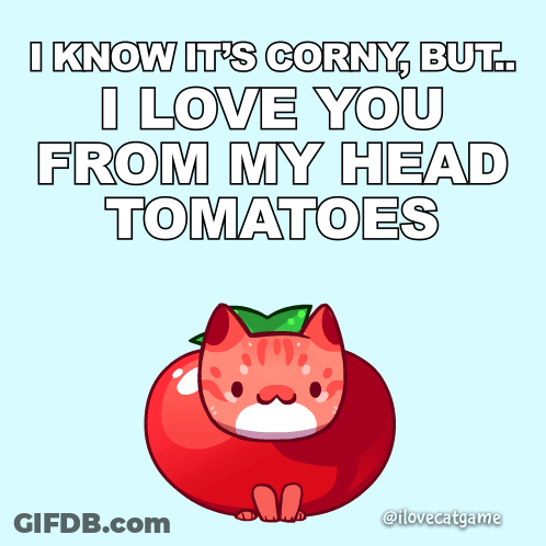 Cat In Tomato Corny Love From Head Tomatoes GIF