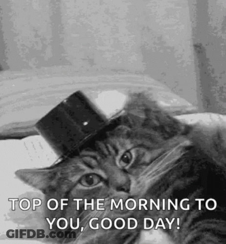 Cat In Top Hat Laying On Bed Saying Top Of The Morning Good Day GIF