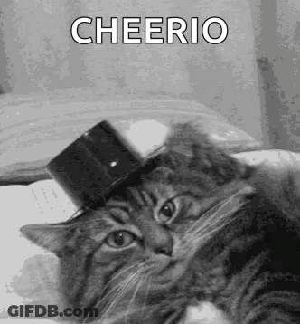 Cat In Top Hat Lying On Bed Saying Cheerio GIF