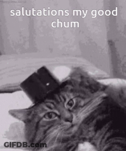 Cat In Top Hat Salutations My Good Chum GIF