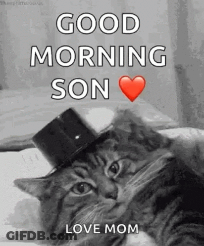 Cat In Top Hat Saying Good Morning GIF