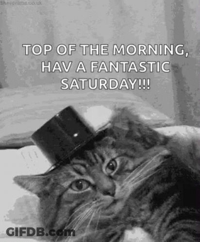 Cat In Top Hat Saying Top Of The Morning GIF