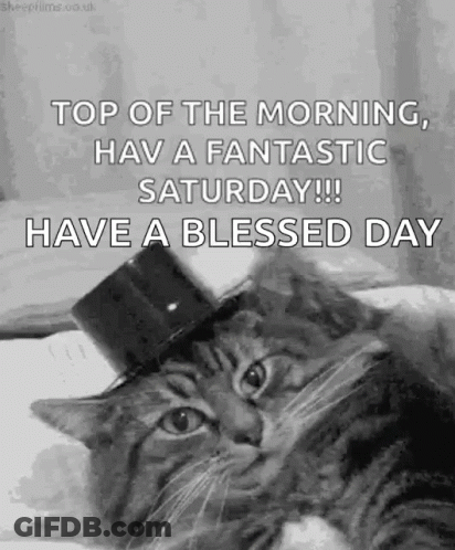 Cat In Top Hat Saying Top Of The Morning GIF