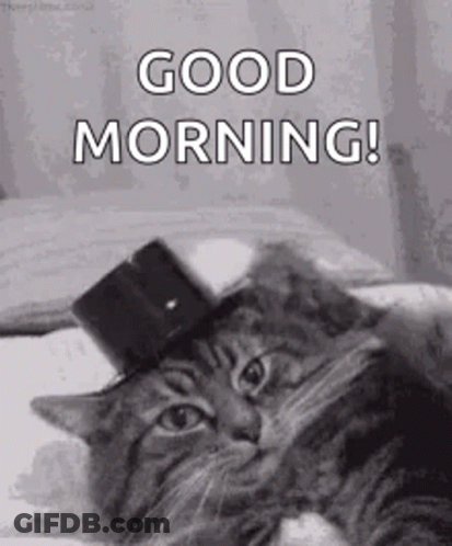 Cat In Top Hat Says Good Morning GIF