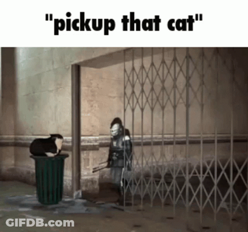 Cat In Trash Can Saying Pickup That Cat GIF