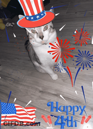 Cat In Uncle Sam Hat With Fireworks Happy 4Th GIF