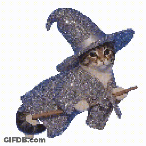 Cat In Witch Costume Holding Broom GIF