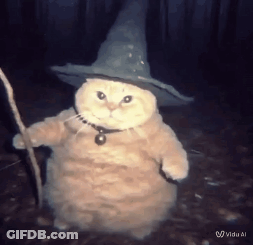 Cat In Witch Costume Holding Stick GIF