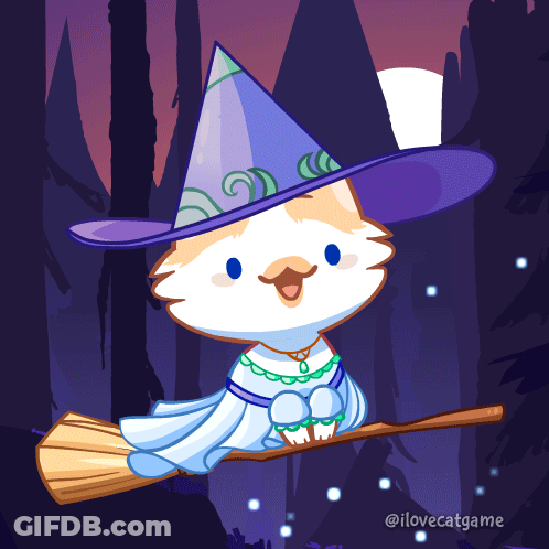 Cat In Witch Hat Flying Broom GIF