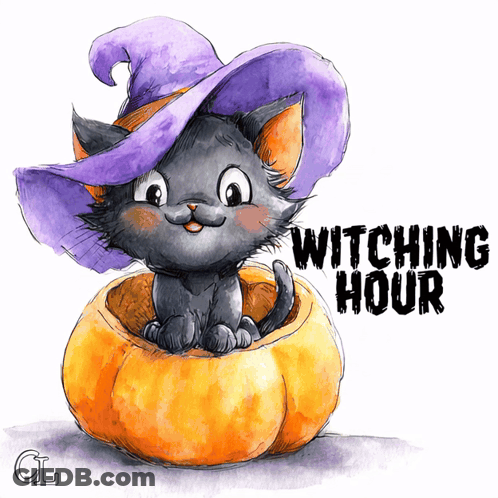 Cat In Witch Hat In Pumpkin Witching Hour GIF