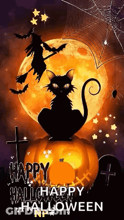 Cat In Witch Hat Saying Why GIF