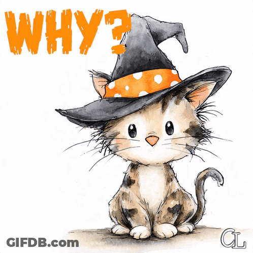 Cat In Witch Hat Saying Why GIF