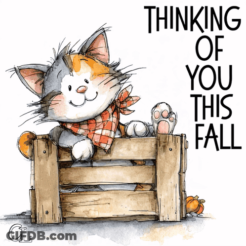 Cat In Wooden Crate Thinking Of You This Fall GIF