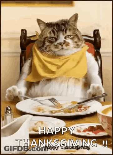 Cat In Yellow Scarf With Food And Fork GIF