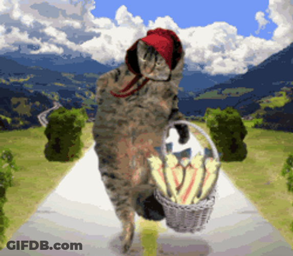 Cat Juggling Funny Animal GIF