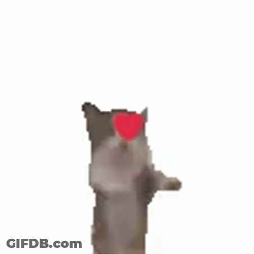 Cat Jumping Heart Meme GIF