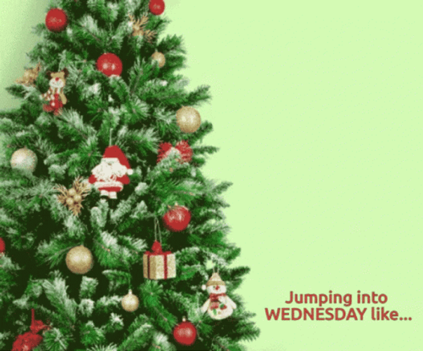 Cat Jumping Into Christmas Wednesday GIF