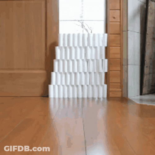 Cat Jumping Obstacle GIF