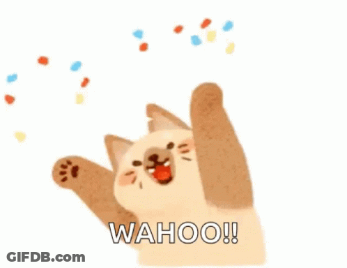 Cat Jumping With Confetti GIF