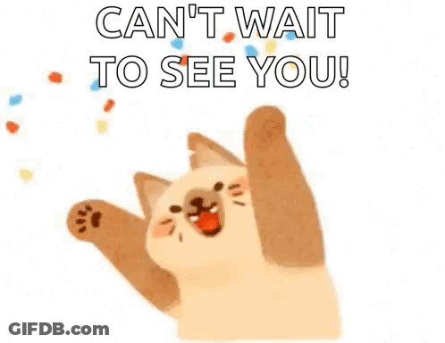 Cat Jumping With Paws Up Saying Can't Wait To See You GIF