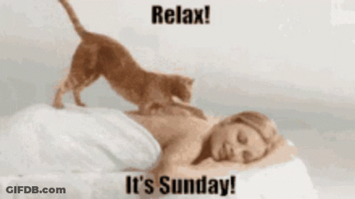 Cat Jumps Over Sleeping Woman Relax It's Sunday GIF
