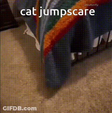 Cat Jumpscare Behind Bed With Rainbow Blanket GIF