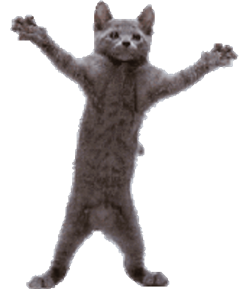 Cat Kaikohoshi Sticker GIF