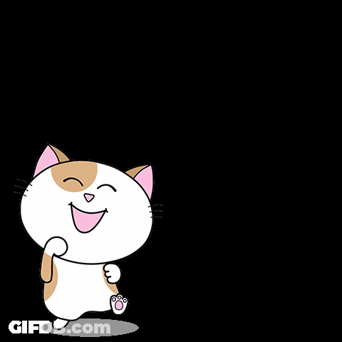 Cat ขอบคุณ มาก GIF