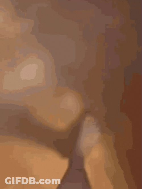Cat Kiss Close Up GIF
