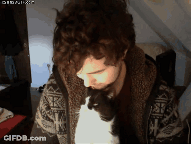 Cat Kiss Forehead GIF