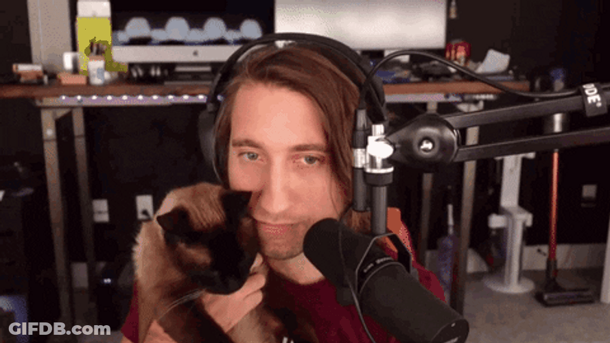 Cat Kiss Gavin Stream GIF