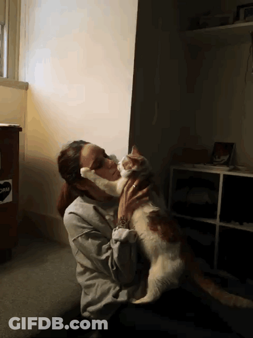 Cat Kiss Hug GIF
