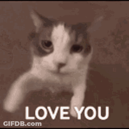 Cat Kiss Love You GIF