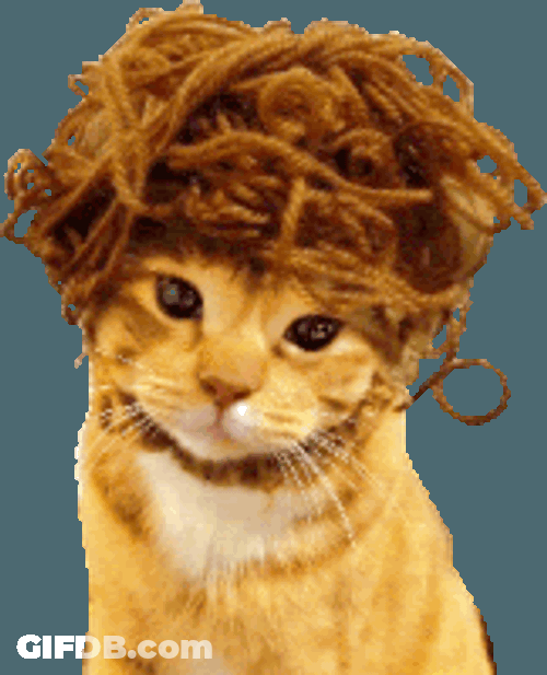 Cat Kitten Sticker GIF