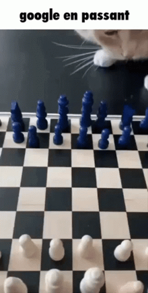 Cat Knocking Down Chess Pieces Meme GIF