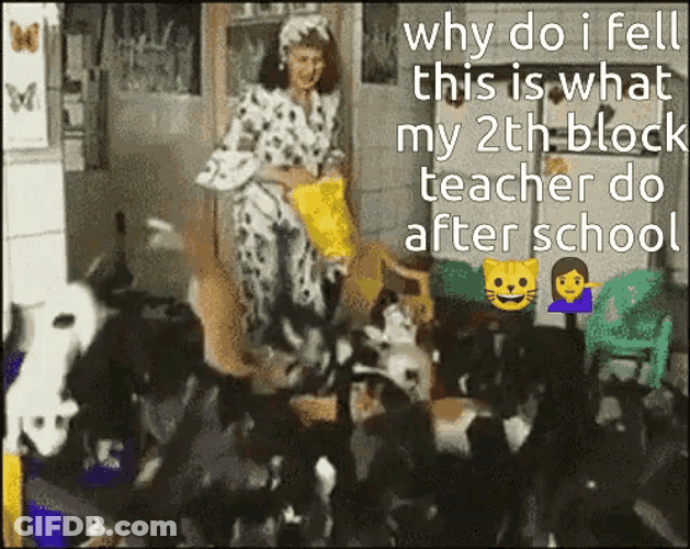 Cat Lady Cat GIF