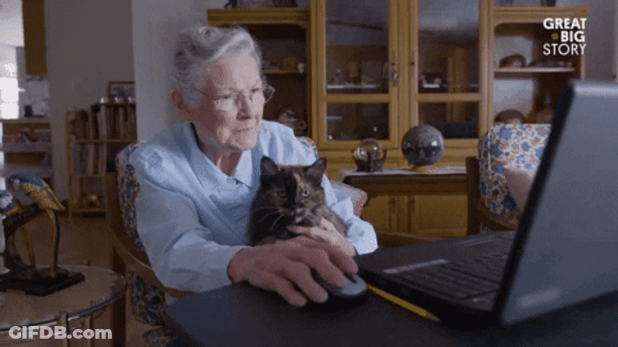 Cat Lady Facing A Laptop With Her Pet GIF