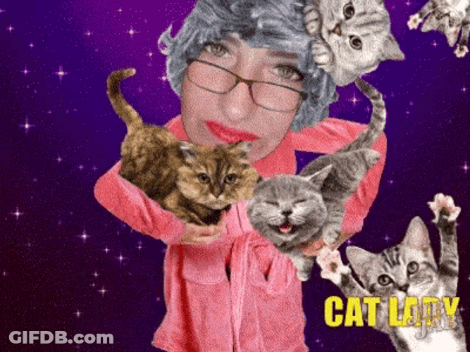 Cat Lady GIF