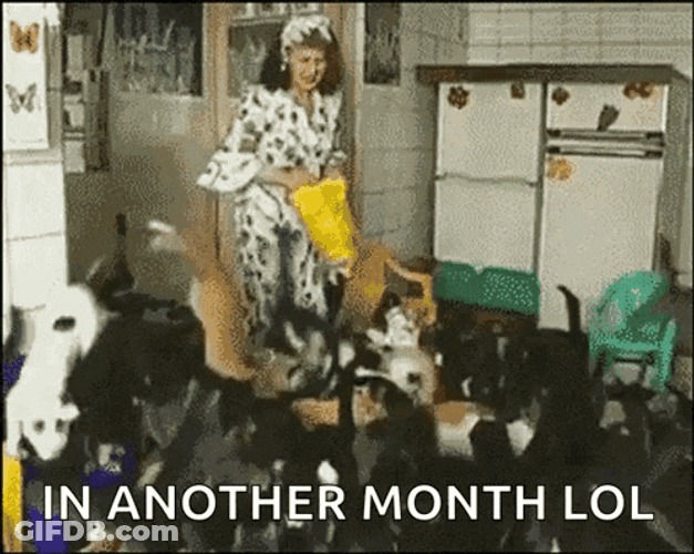 Cat Lady GIF