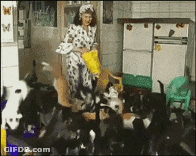 Cat Lady GIF