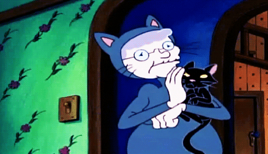 Cat Lady Hey Arnold Grandma Gertie GIF