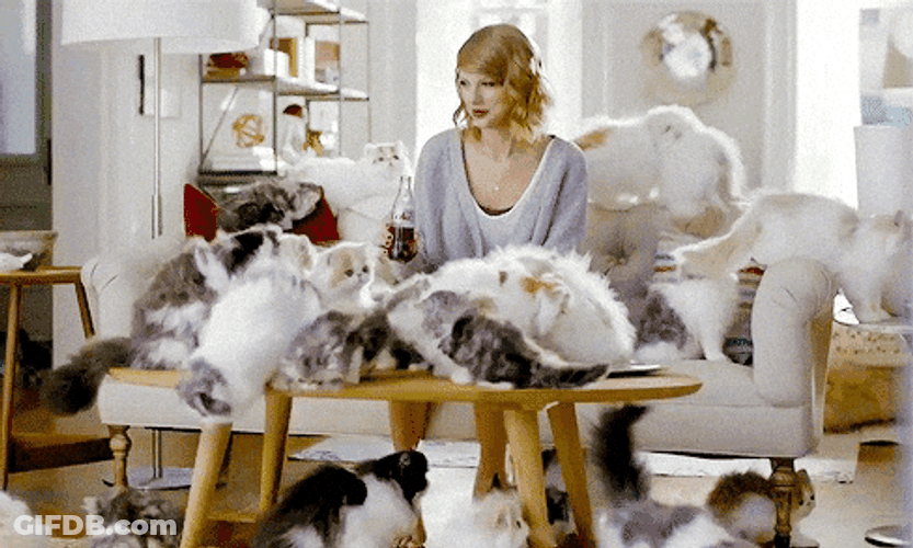 Cat Lady Taylor Swift Sitting On Couch GIF