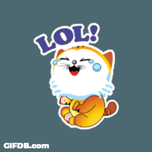 Cat Laugh Sticker GIF