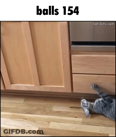 Cat Laying Beside Drawer Saying Balls 154 GIF